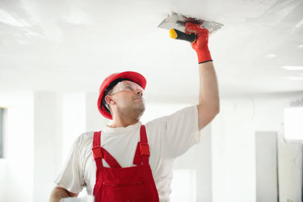 Professional Painting & Drywall Services in Peculiar, MO